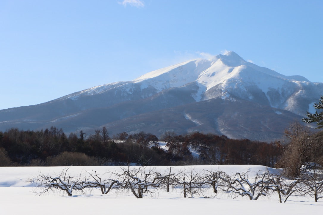 Apple Stollen 〜雪の岩木山〜