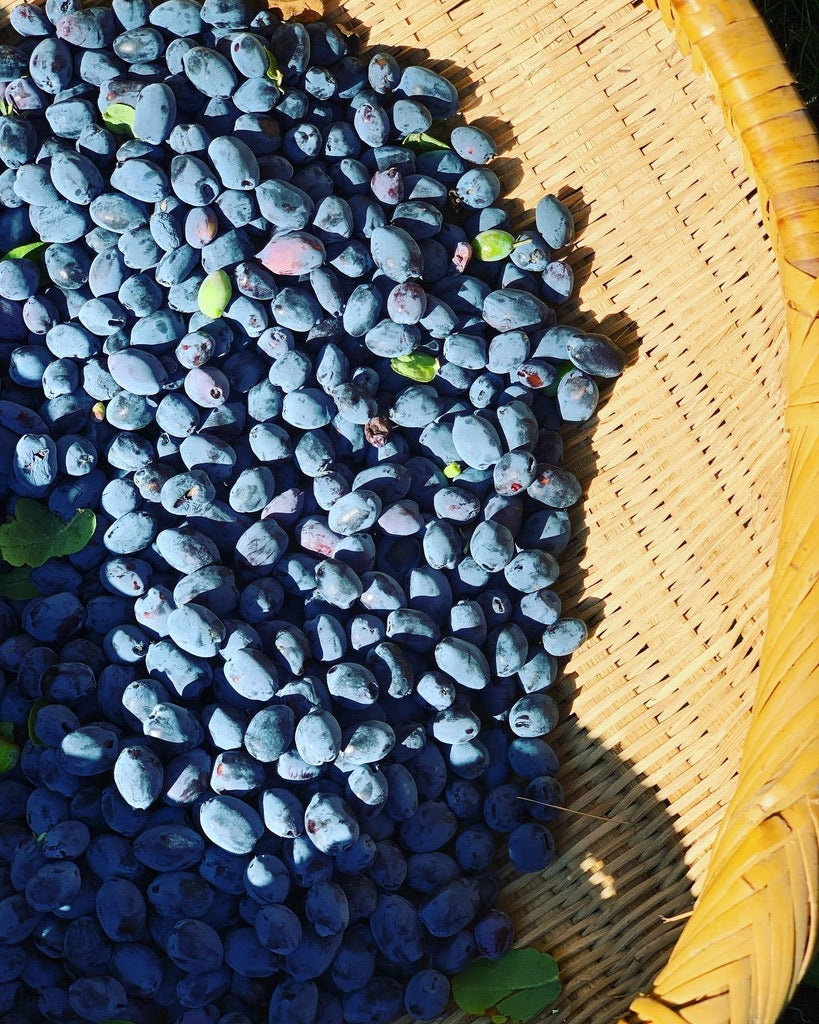 ハスカップジャム &ウイスキー