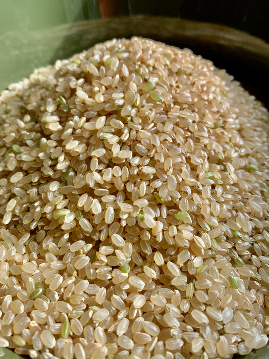 【売り切れ】【CONVEYセレクト米】 令和6年青森県産 はれわたり 5kg・10kg 選べる精米歩合