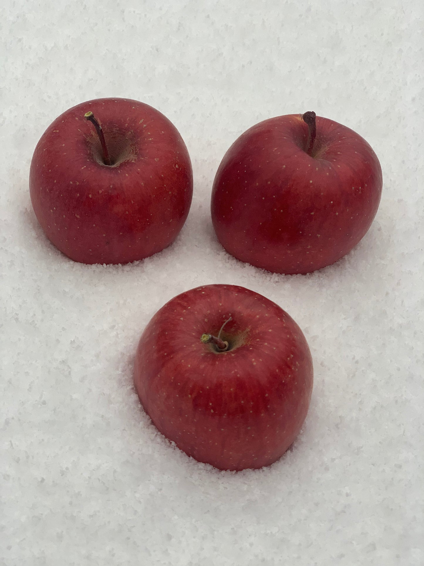 ピンコ 丸かじりりんご