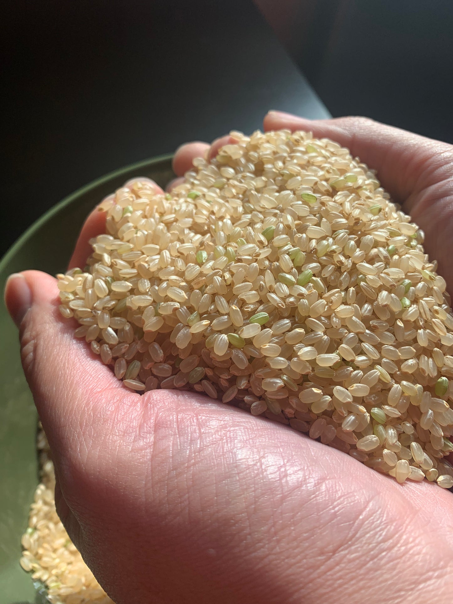 【売り切れ】【CONVEYセレクト米】 令和6年青森県産 はれわたり 5kg・10kg 選べる精米歩合